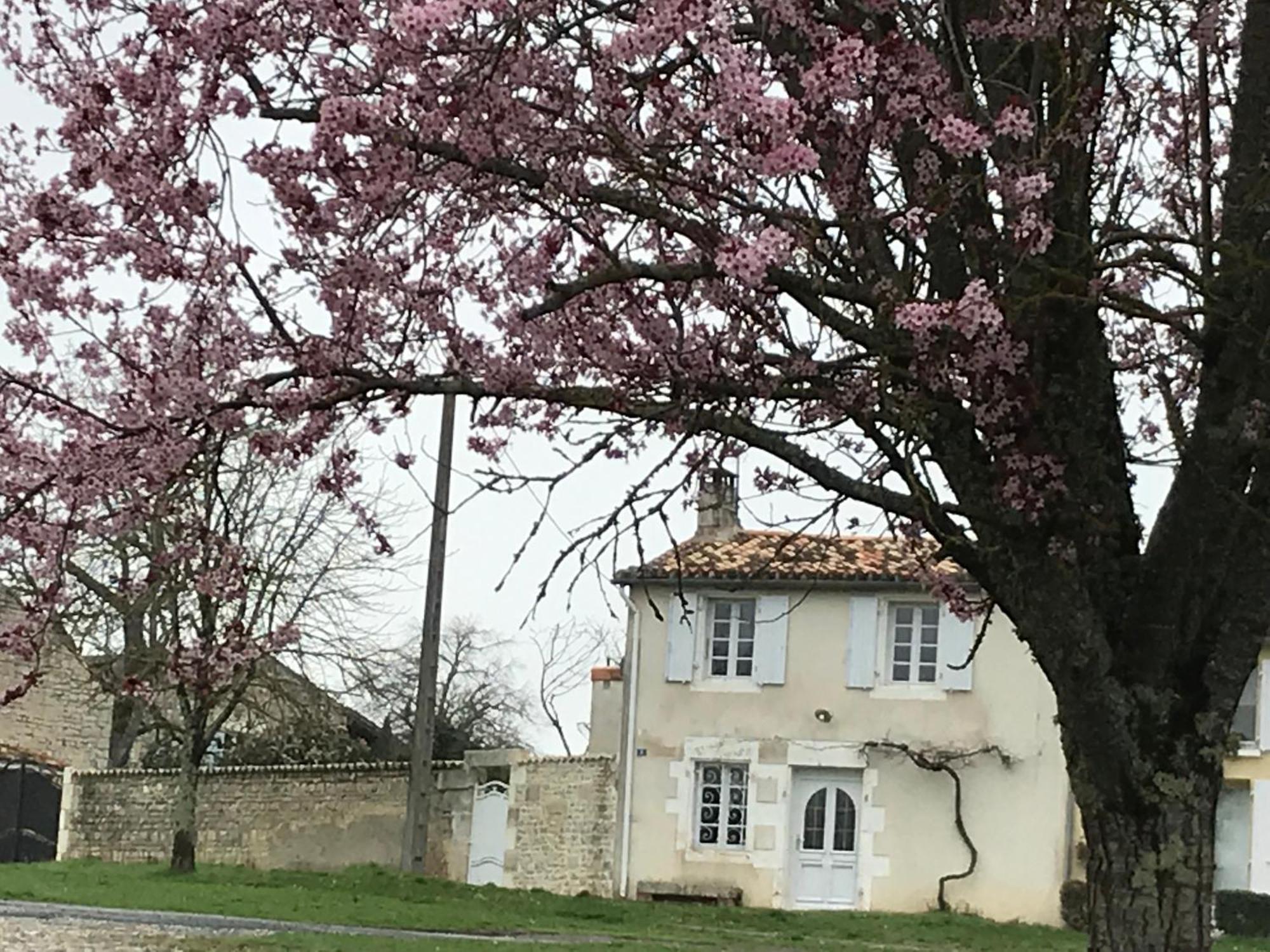La Maison De Josephine Montignac-Charente Exterior photo